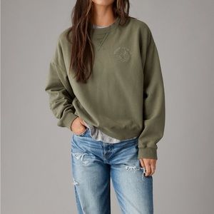 AE Funday Embroidered Crewneck Sweatshirt